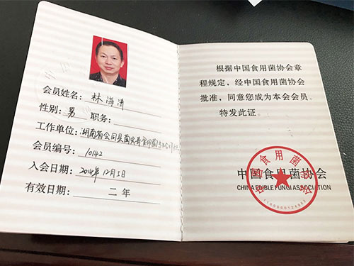 湖南創(chuàng)蕈農(nóng)業(yè)科技有限公司,懷化食用菌種植銷售,懷化羊肚菌種植銷售,懷化赤松茸種植銷售 湖南創(chuàng)蕈農(nóng)業(yè)科技有限公司,懷化食用菌種植銷售,懷化羊肚菌種植銷售,懷化赤松茸種植銷售