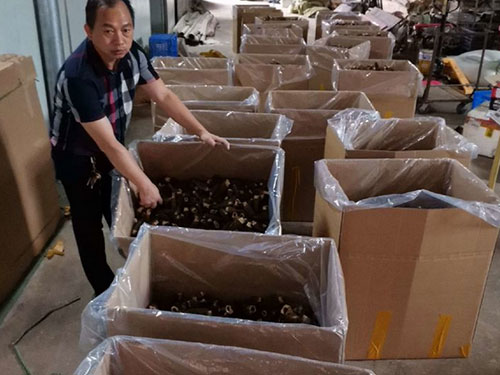 湖南創(chuàng)蕈農(nóng)業(yè)科技有限公司,懷化食用菌種植銷售,懷化羊肚菌種植銷售,懷化赤松茸種植銷售 湖南創(chuàng)蕈農(nóng)業(yè)科技有限公司,懷化食用菌種植銷售,懷化羊肚菌種植銷售,懷化赤松茸種植銷售