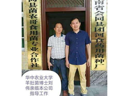 湖南創(chuàng)蕈農業(yè)科技有限公司,懷化食用菌種植銷售,懷化羊肚菌種植銷售,懷化赤松茸種植銷售 湖南創(chuàng)蕈農業(yè)科技有限公司,懷化食用菌種植銷售,懷化羊肚菌種植銷售,懷化赤松茸種植銷售