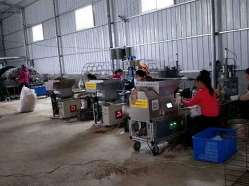 湖南創(chuàng)蕈農業(yè)科技有限公司,懷化食用菌種植銷售,懷化羊肚菌種植銷售,懷化赤松茸種植銷售 湖南創(chuàng)蕈農業(yè)科技有限公司,懷化食用菌種植銷售,懷化羊肚菌種植銷售,懷化赤松茸種植銷售