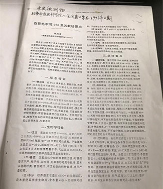 湖南創(chuàng)蕈農(nóng)業(yè)科技有限公司,懷化食用菌種植銷售,懷化羊肚菌種植銷售,懷化赤松茸種植銷售 湖南創(chuàng)蕈農(nóng)業(yè)科技有限公司,懷化食用菌種植銷售,懷化羊肚菌種植銷售,懷化赤松茸種植銷售