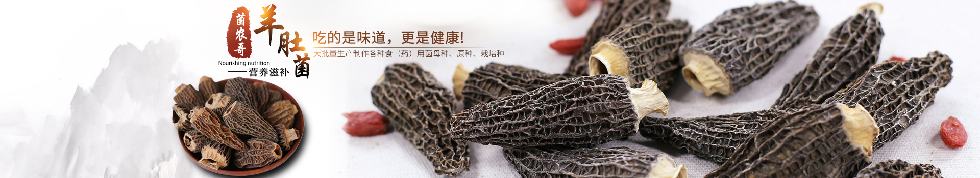 湖南創(chuàng)蕈農(nóng)業(yè)科技有限公司_懷化食用菌種植銷(xiāo)售|懷化羊肚菌種植銷(xiāo)售|懷化赤松茸種植銷(xiāo)售 湖南創(chuàng)蕈農(nóng)業(yè)科技有限公司_懷化食用菌種植銷(xiāo)售|懷化羊肚菌種植銷(xiāo)售|懷化赤松茸種植銷(xiāo)售