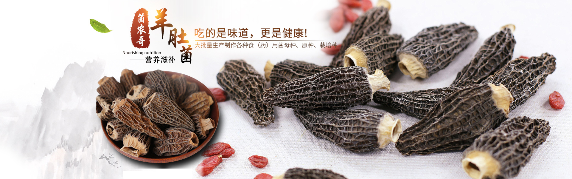 湖南創(chuàng)蕈農(nóng)業(yè)科技有限公司_懷化食用菌種植銷(xiāo)售|懷化羊肚菌種植銷(xiāo)售|懷化赤松茸種植銷(xiāo)售
